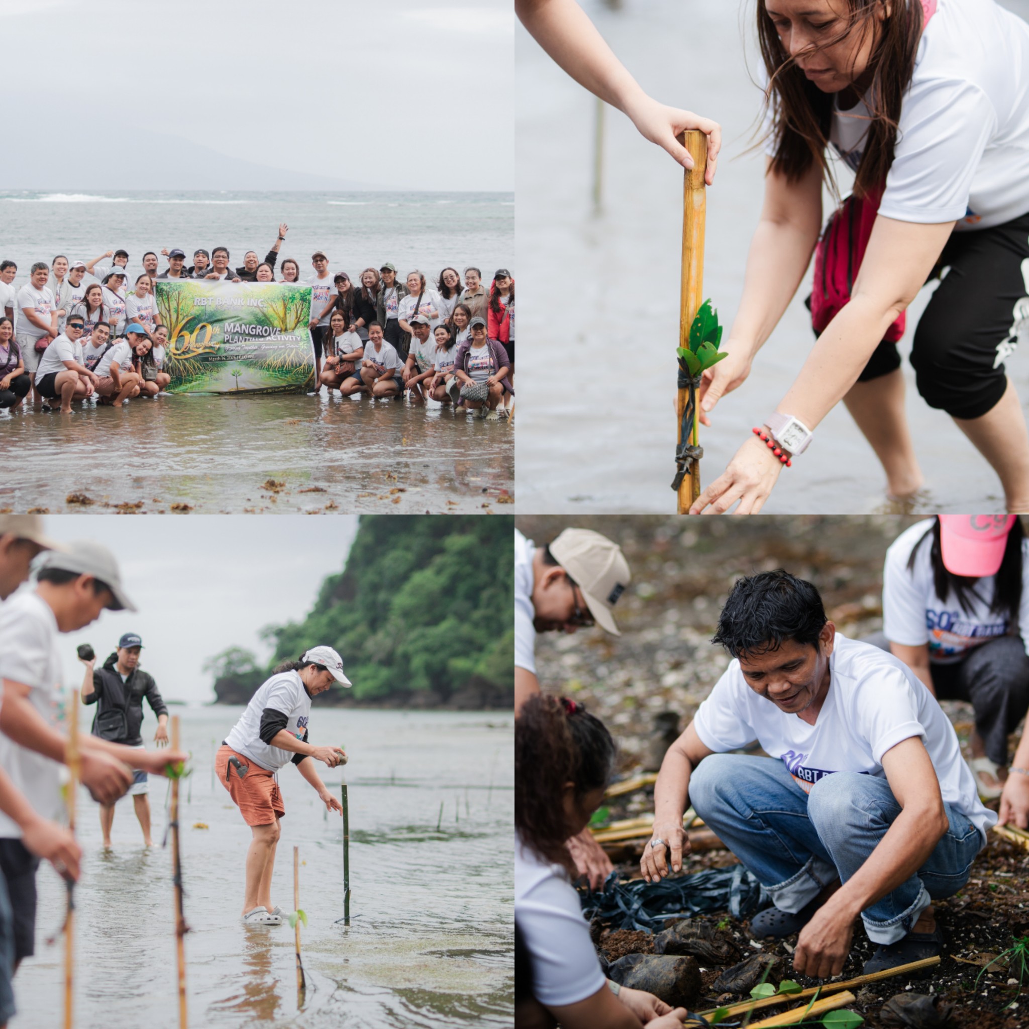 Mangrove Planting